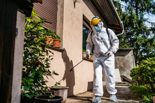 Best Residential Pest Control  in Kerrville, TX