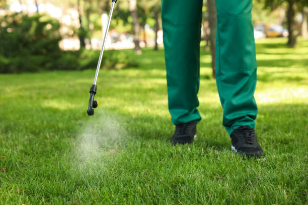 Best Pest Control Near Me in Kerrville, TX
