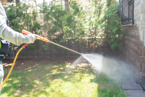 Best Mosquito Control Services  in Kerrville, TX